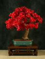 Paper Flower